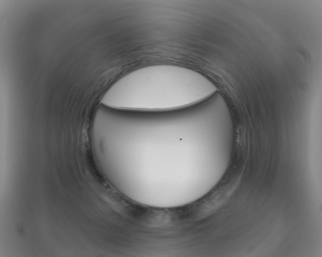 X0000111930127200907271038