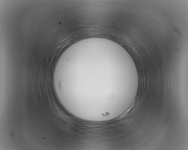 X0000111930128200907271038