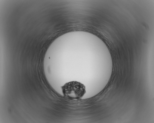 X0000111930129200907271038