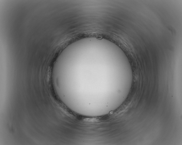 X0000111930133200907271038