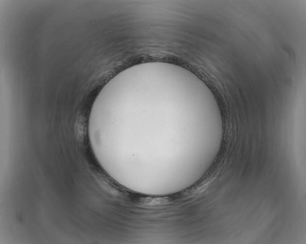 X0000111930135200907271038