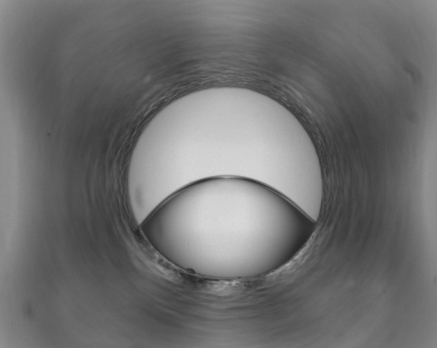 X0000111930136200907271038