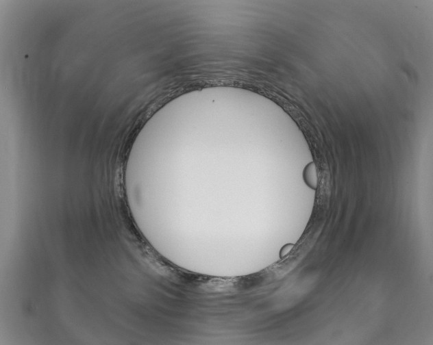 X0000111930138200907271038