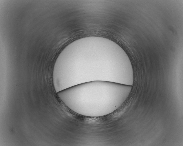 X0000111930139200907271038