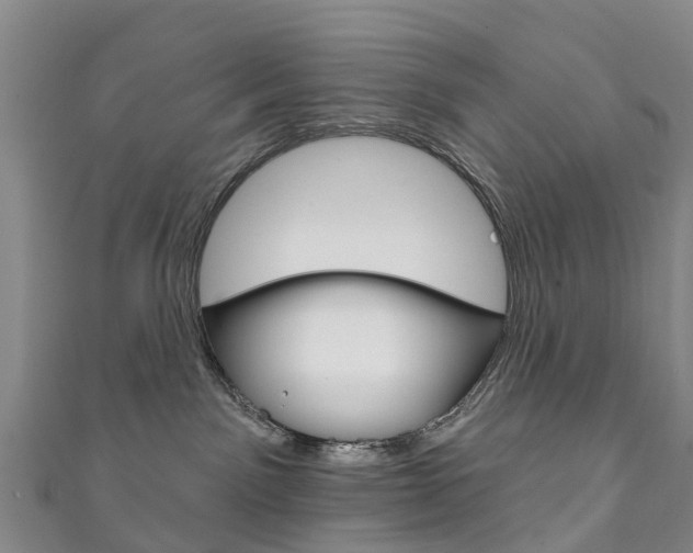 X0000111930141200907271038