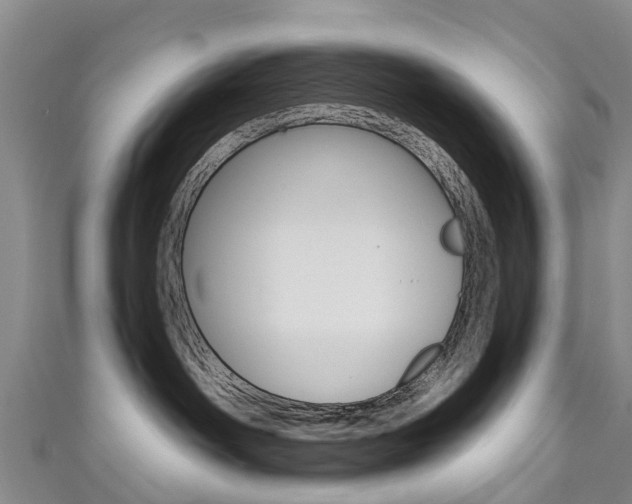 X0000111930142200907271038
