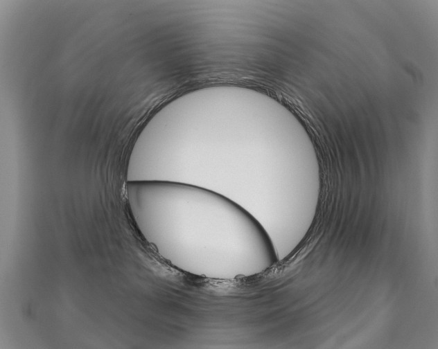 X0000111930143200907271038