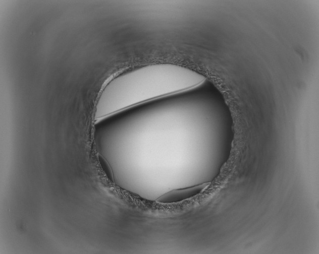 X0000111930144200907271038