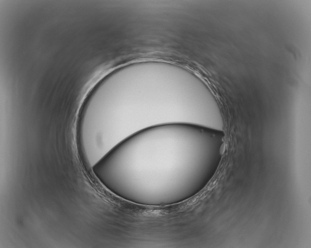 X0000111930152200907271038