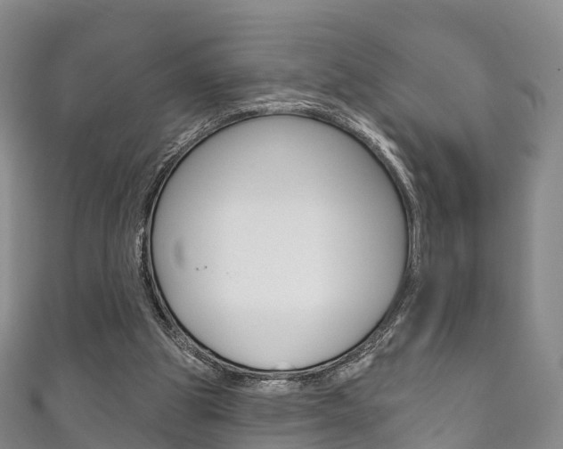 X0000111930153200907271038
