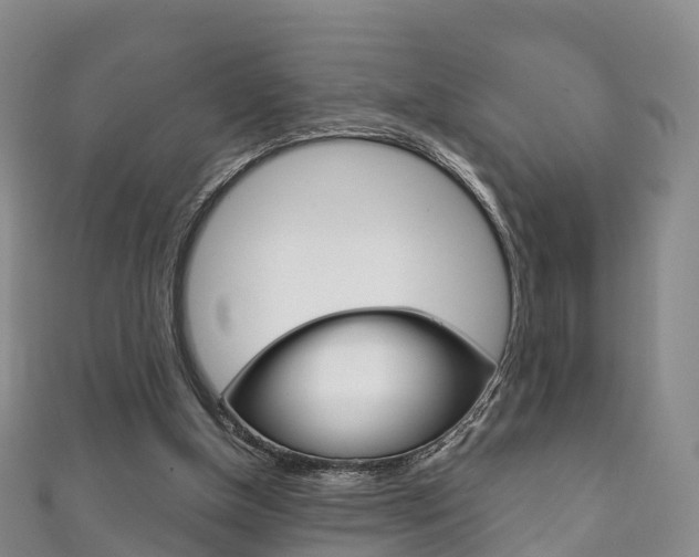 X0000111930154200907271038