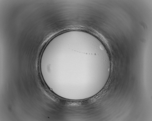 X0000111930155200907271038