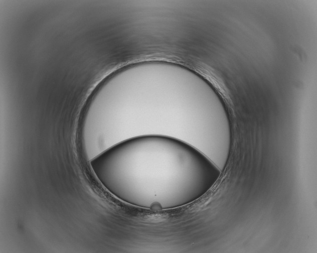 X0000111930156200907271038
