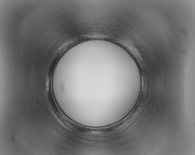 X0000111930157200907271038