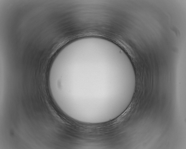 X0000111930158200907271038