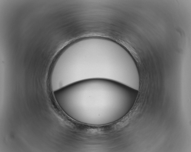 X0000111930160200907271038