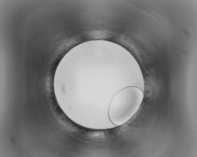 X0000111930162200907271038