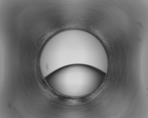 X0000111930164200907271038