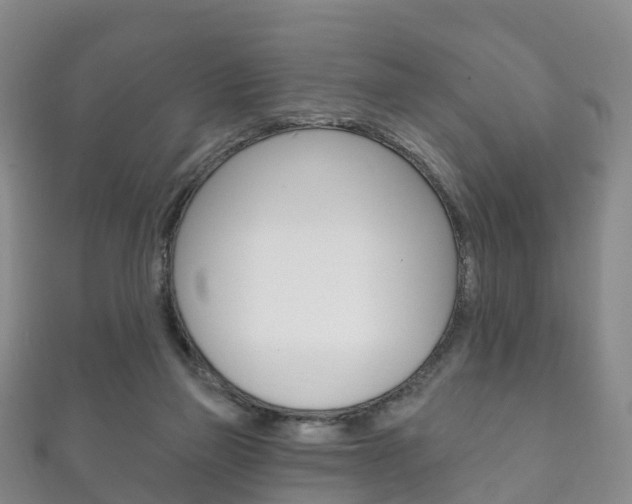 X0000111930165200907271038