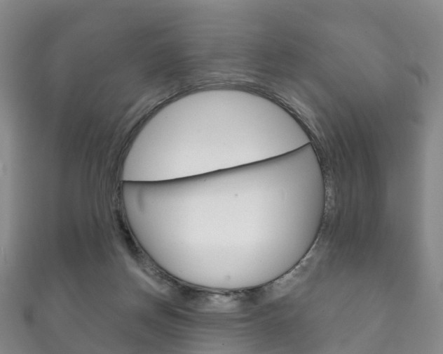 X0000111930166200907271038