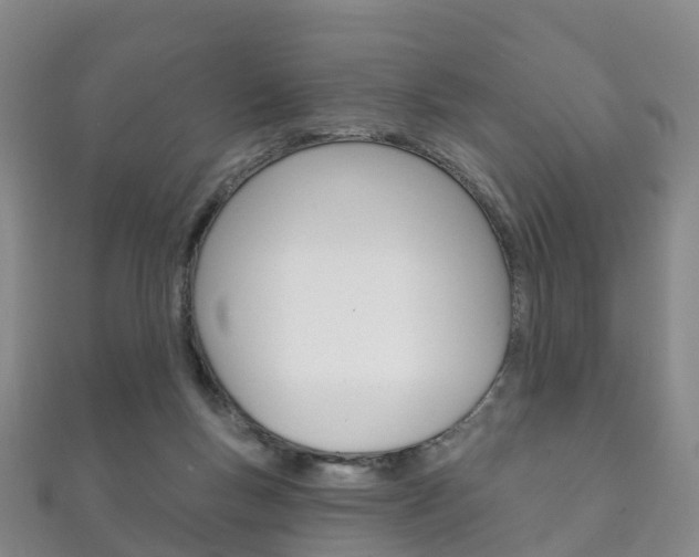 X0000111930167200907271038