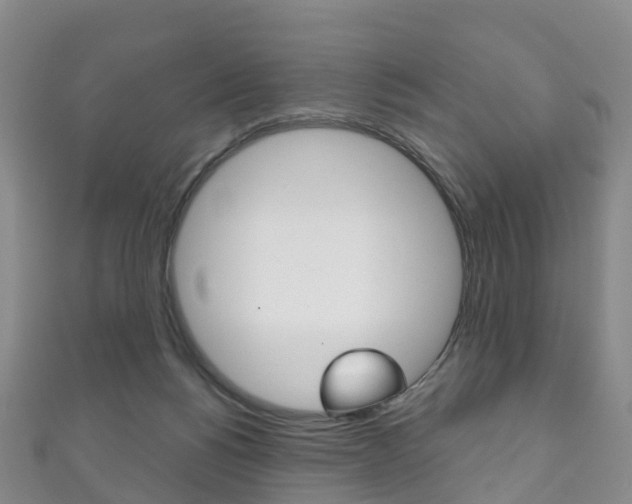X0000111930168200907271038