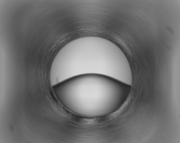 X0000111930170200907271038