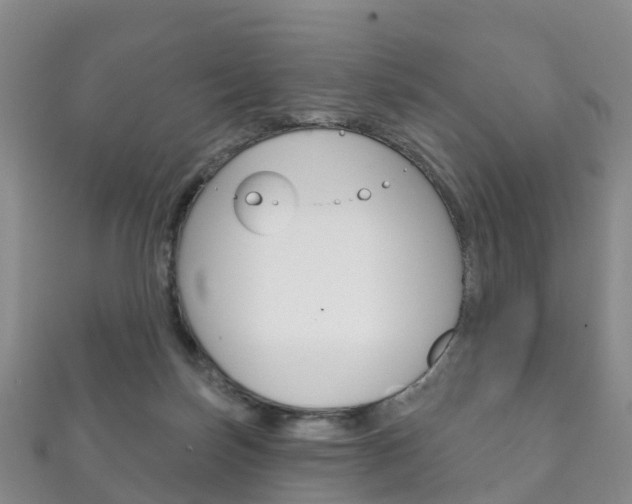 X0000111930171200907271038