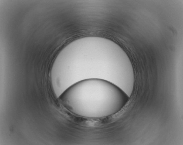 X0000111930172200907271038