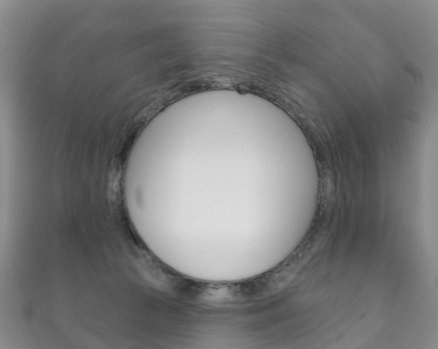 X0000111930177200907271038