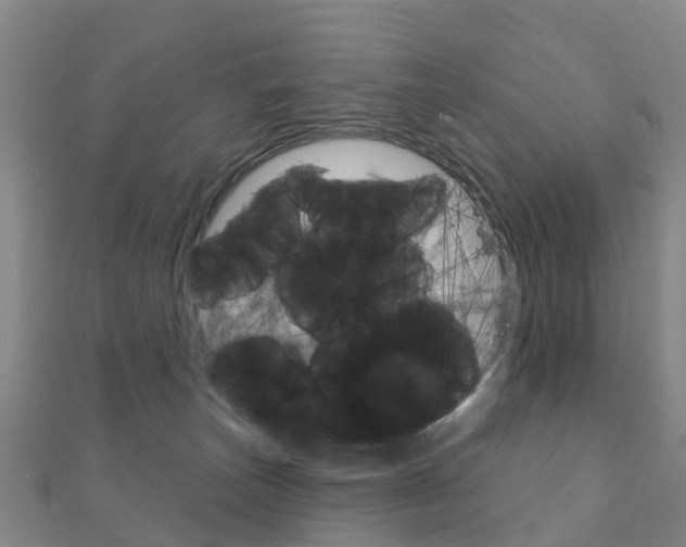X0000111930179200907271038
