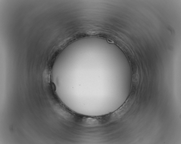 X0000111930180200907271038