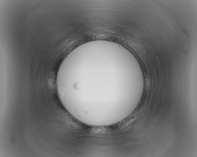 X0000111930181200907271038