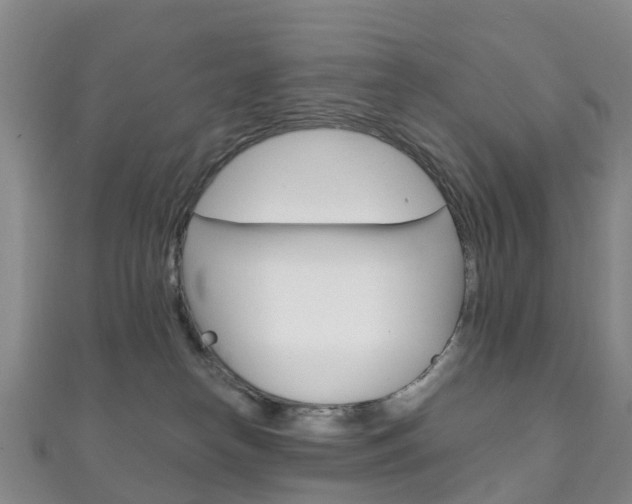 X0000111930182200907271038