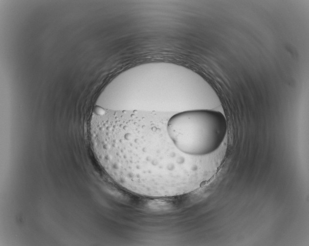 X0000111930183200907271038