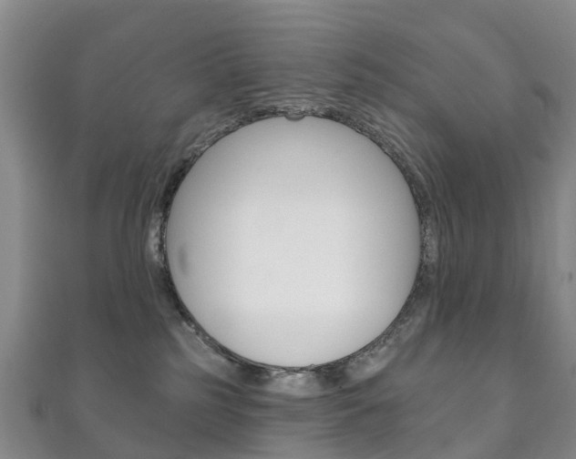 X0000111930185200907271038