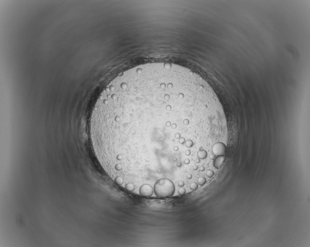 X0000111930187200907271038
