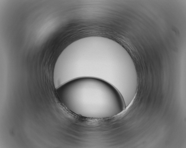 X0000111930190200907271038