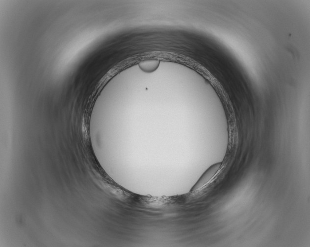 X0000111930191200907271038