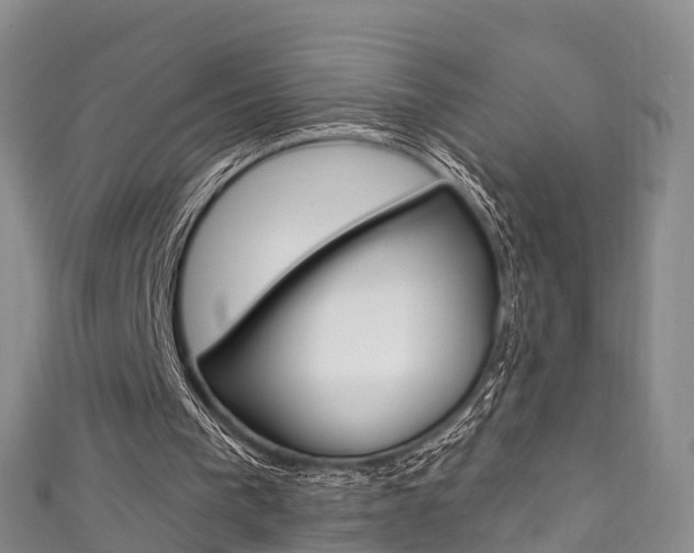 X0000111930193200907271038