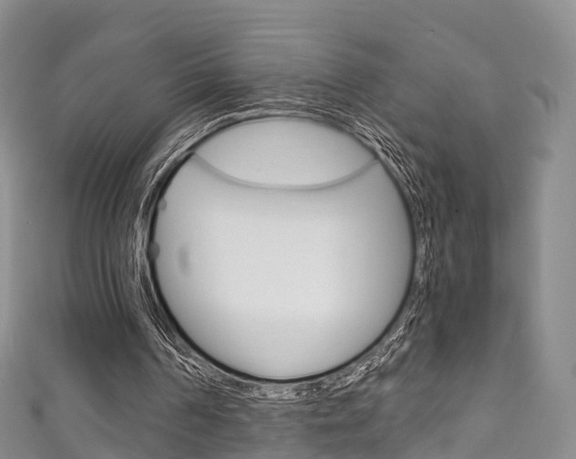 X0000111930194200907271038