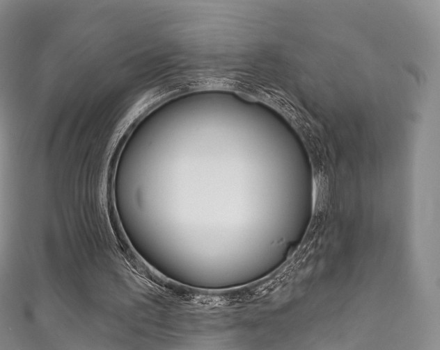 X0000111930195200907271038