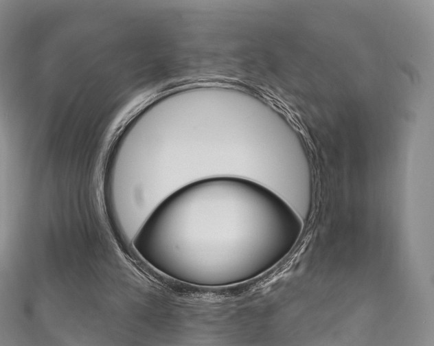 X0000111930197200907271038