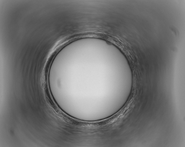 X0000111930198200907271038