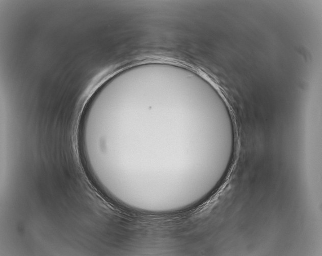 X0000111930199200907271038