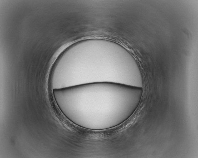 X0000111930200200907271037