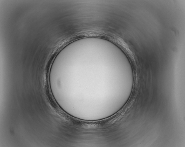 X0000111930202200907271037