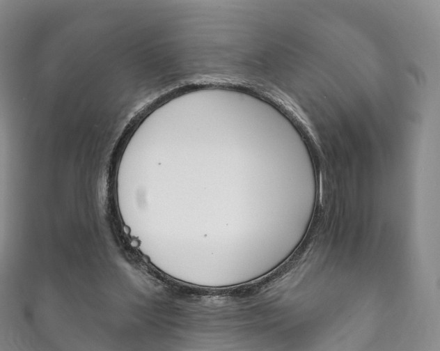 X0000111930204200907271037