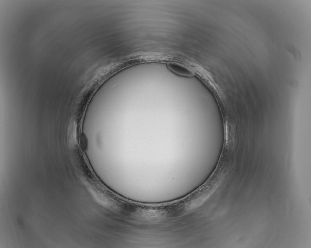 X0000111930205200907271037