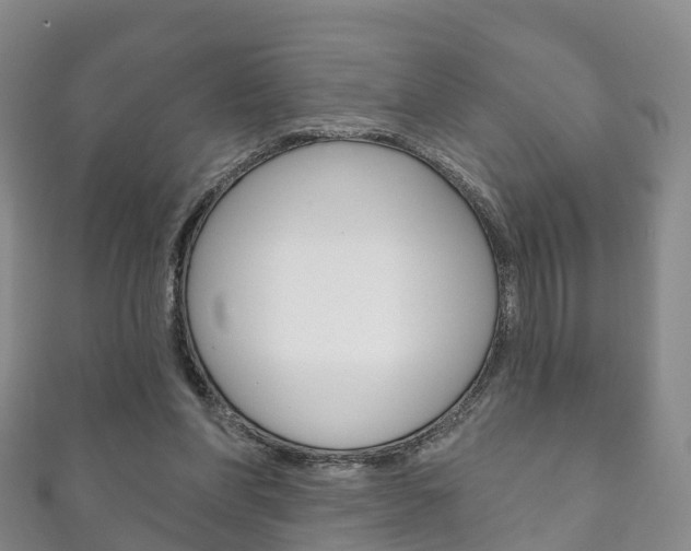 X0000111930206200907271037